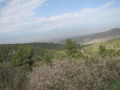 מרכז ג'ו אלון